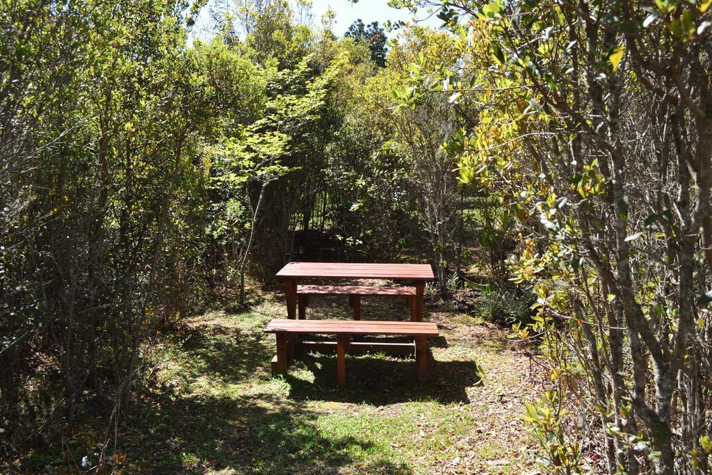 Forest Edge Rheenendal Екстериор снимка