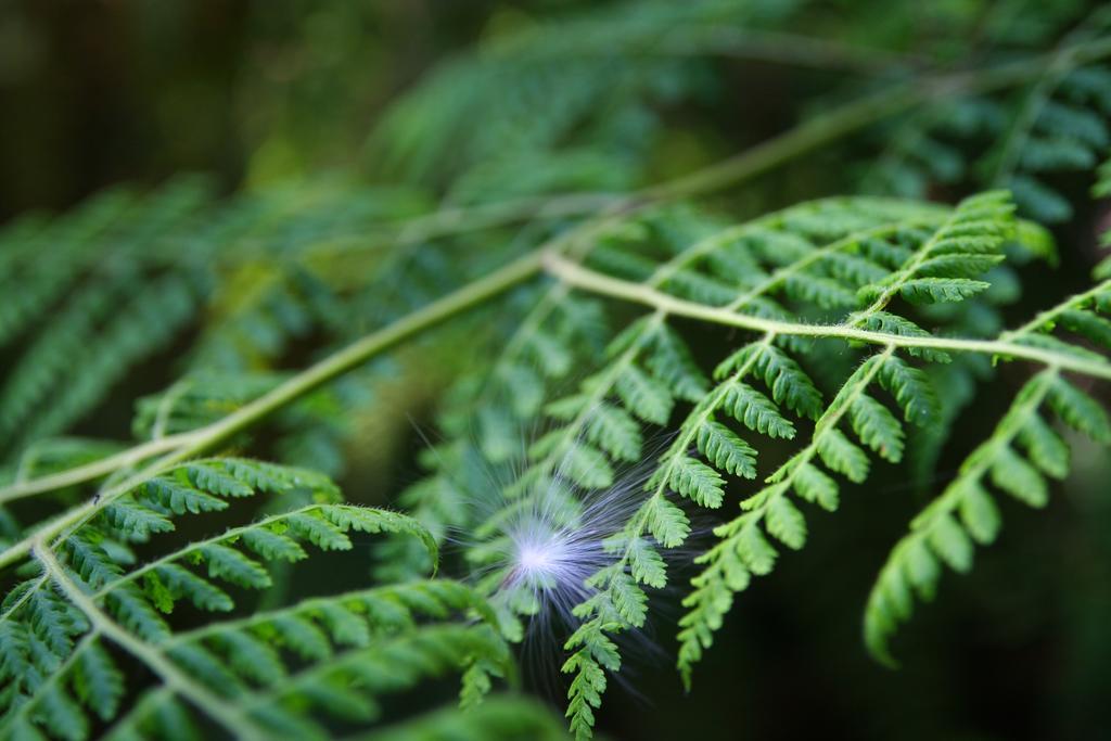 Forest Edge Rheenendal Екстериор снимка