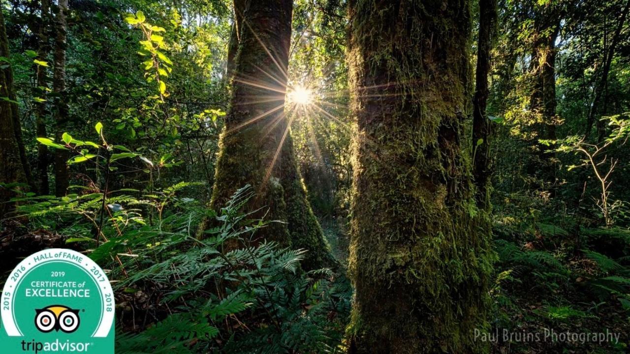 Forest Edge Rheenendal Екстериор снимка